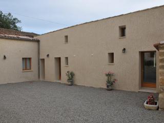 Les Ânes de Forcalquier - Forcalquier - 8