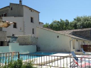 Les Ânes de Forcalquier - Forcalquier - 5