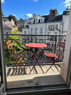 ~Rosa Bonheur~hyper centre - Blois - 7