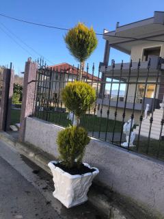 Villa Castle View - 2