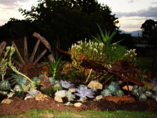 The Palms Albertinia - 1