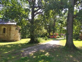 Camping Domaine de Senaud - Albon - 3