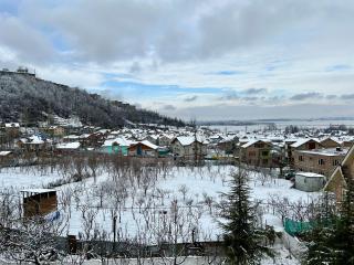 Whostels Srinagar - Srinagar - 2