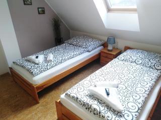 Penzion U dvojice - Nové Město na Moravě - 9