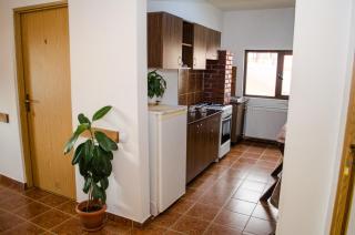 Casa Frida - Buşteni - 2