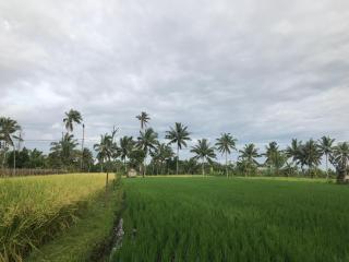 Pondok Kelapa Gading - Kotaraja - 6