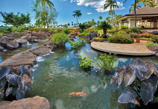 Ko Olina Beach Villas O1121 - Kapolei - 3
