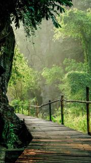 Chez Beo Homestay - Ninh Binh - 7