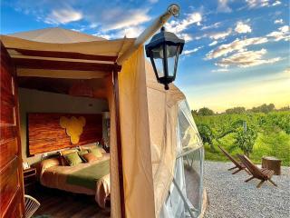 Entre racimos, glamping entre viñedos en bodega - Ciudad Lujan de Cuyo - 2