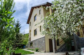 Casa Frida - Buşteni - 9