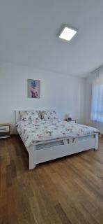 Apartman Spark 2 - 3