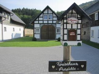 Traumferienhaus Sauerland - Schmallenberg - 3