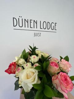 Dünen Lodge 1 - Juist - 8