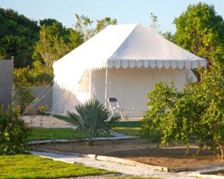 Vaani Greens Wildlife Resort, Kaziranga - Kuthari - 8