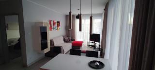 Czarna Góra Resort Apartament na Skarpie - Sienna - 5