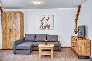 Hotel a Restaurace Růže - 9