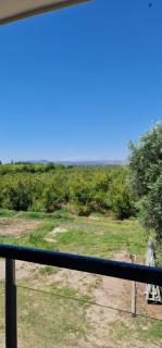 Don Silvestro - 6
