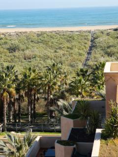 Jardines Isla Canela by SIT ISLA CANELA - Isla Canela - 7