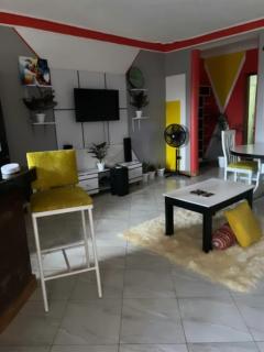 Beniez apartment - Kampala - 6