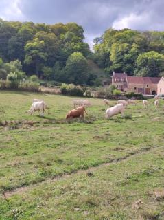 Maison de campagne au calme entre Vézelay Avallon - - 8