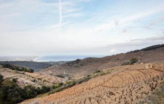 2 Bedroom Amazing Home In Collioure - Collioure - 4