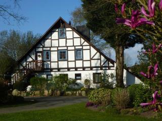 Ferienwohnung Am Walde - - 9