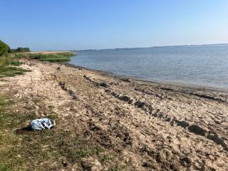 Grosse 4 Sterne Ferienwohnung beim Boddenstrand - 7