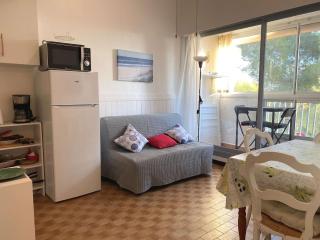 Appartement T2 avec loggia et internet à deux pas de l'étang de Thau à Balaruc-les-Bains - FR-1-553-217 - Balaruc-les-Bains - 9