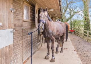 The Corn Bin - Sedlescombe - 1