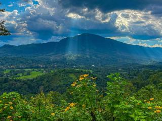 Terrace Cinnamon View - Ratnapura - 2