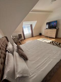Central Studio 28 - Sinaia - 4