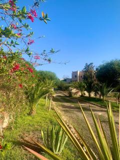 Le Domaine d'Eden - Villa luxueuse, piscine, spa et personnel - Essaouira - 1