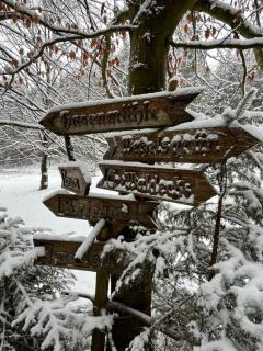 Landgasthof & Hotel Waldeck - Treuen - 4