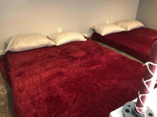Hockey Themed Room with Wooded Trails - Benzonia - 3