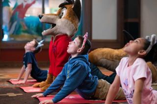 Great Wolf Lodge Kansas City - Kansas City - 7