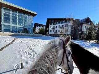 Forest nest - your place to rest! - Borovets - 8