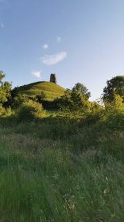 Globe Apartments - 2