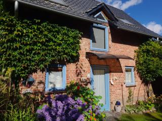 Ferienhaus am Rande Müritz Nationalpark - Waren - 9