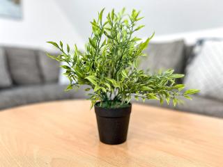 Likedeeler Wohnung 42 - Boltenhagen - 6