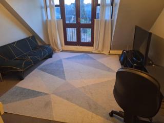 Flat with excellent transport links to central London. - Elmers End - 9