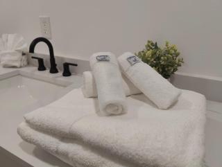 Coastal Oasis in Seminole: Heated Pool Paradise! - Seminole - 3