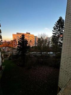 Mit Ausblick - WLAN / Parkplätze - 9