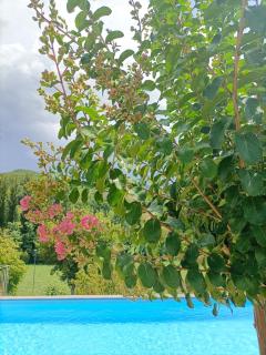 B&B VILLA GINEVRA - Pietralunga - 9
