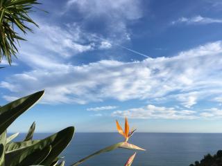 Villa Vento Largo, Casa Marina - Ventimiglia - 3