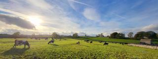 Grange Cottage - Aysgarth - 4