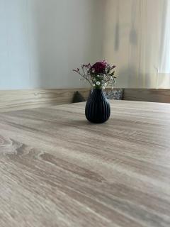 Panorama Appartements - Egg - 3