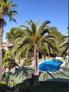 Apartamento Buganvilla Pool - 9