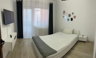 Enjoy Apartment Barlad - Bîrlad - 8