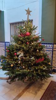 Navitour Santa Ana - Grenade - 4