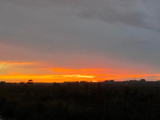 genieten aan de Zeeuwse kust - Burgh Haamstede - 3